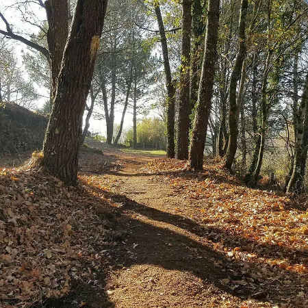 Antique In Galicia With Private Swimming Pool Nieves